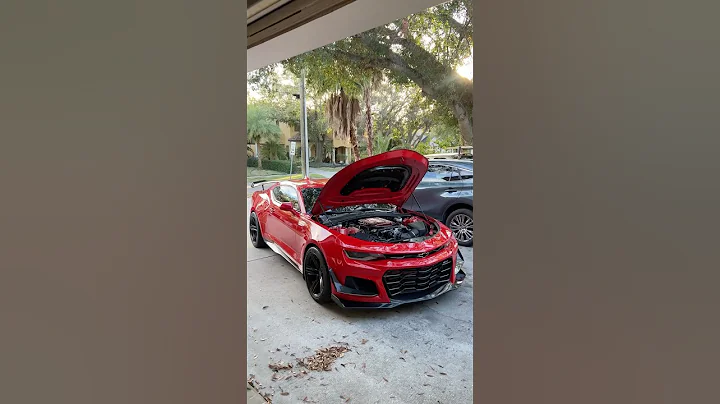 BEST MOD I’VE EVER DONE !