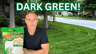 Scott’s Fertilizer This Made My Lawn Go Crazy Green! Scott's Turf Builder Pro - Scotts Step3