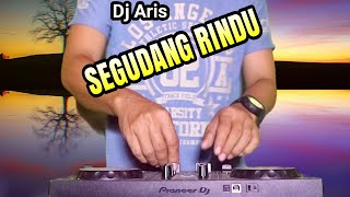 DJ SEGUDANG RINDU DANGDUT REMIX FULL BASS TERBARU