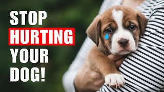 картинка: 10 повседневных вещей, которые ранят чувства вашей собаки