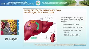 HSCC 2024 - TS.BS. Lê Quốc Hùng - Chống độc