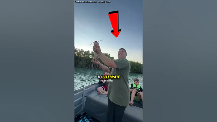 Eagle snatch Fish mid-flight (@treknaustralia)