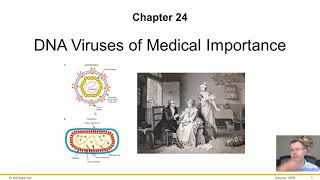 Chapter 24   DNA Viruses new