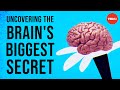 Uncovering the brain's biggest secret - Melanie E. Peffer
