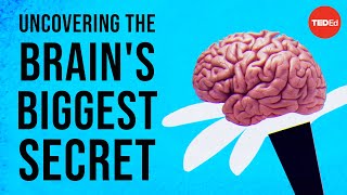 Uncovering the brain's biggest secret  Melanie E. Peffer