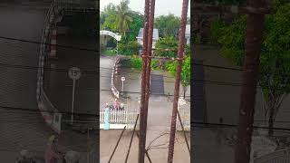 Tựa Cánh Bèo Trôi 6,5