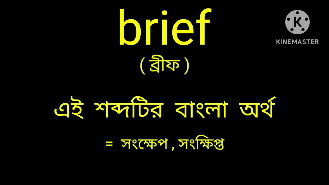 brief-meaning-in-bengali-brief-brief