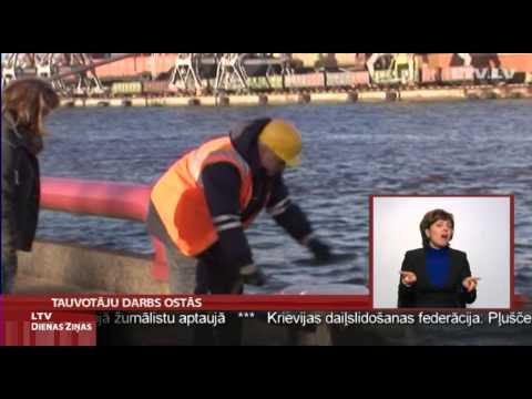 Video: Kāpēc Cilvēkus No Vientulības Glābj Darbs