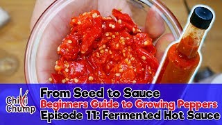 How to make Fermented Hot Sauce