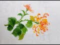 Азиатская живопись и акварель Как рисовать хризантемы се-и Asian brush Chrysanthemum painting 그림