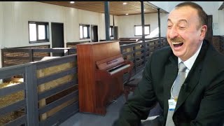 Laçında keçilərə piano çalırlar, 30 ailəyə isə sınıq evlər tikib veriblər