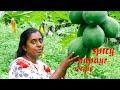 Traditional papaya pickle with spicy.?With another delicious curry village kitchen cooking/srilanka