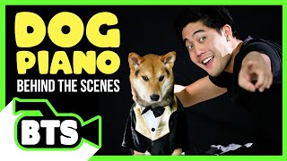 Filming with Marley and Roku! (BTS)