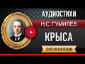 КРЫСА ГУМИЛЕВ Н.С. аудиостих, слушать #стихи классиков, красивый #стих