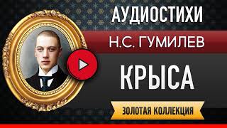 КРЫСА ГУМИЛЕВ Н.С. аудиостих, слушать #стихи классиков, красивый #стих