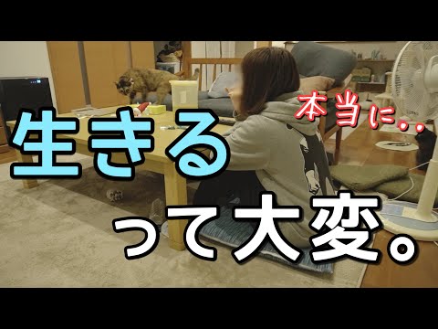 毎日どこかしら痛くて病んでて疲れてるけど、たぶん幸せ。
