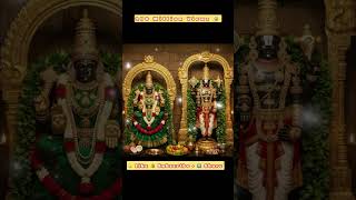 Tirupati Balaji Darshan Full Experience 2026