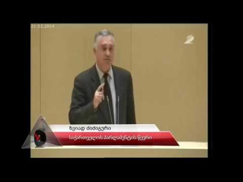 ფაქტ-მეტრ TV: ზვიად ძიძიგური სასამართლოების შესახებ