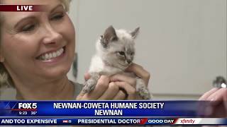 Humane Society s new home