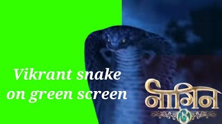 Vikrant snake animation on green screen