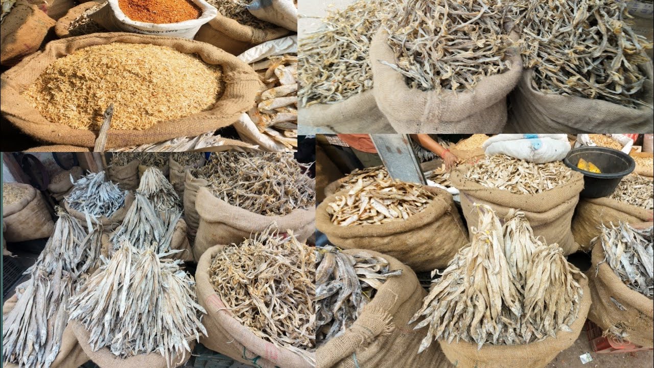 কলকাতায় শুঁটকি মাছের বিশাল পাইকারি বাজার | Dry Fish Market Kolkata l Sutki Macher Bazar Kolkata