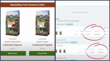 (Case Study) OneClickUpsell’s New A.I. Doubles Upsell Revenue for Java Planet  |  Zipify Apps