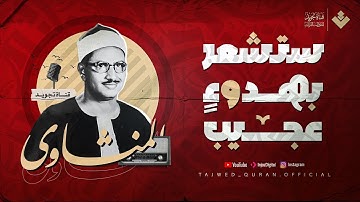 هدوءٌ عجيب يملأ القلب 🤍 تلاوة نادرة مؤثرة لسورتي الواقعة والحديد ✨ بصوت المنشاوي الصوت الباكي 🎧