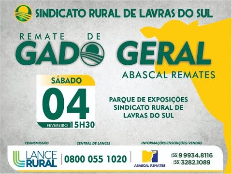 Remate De Gado Geral - Abascal Remates 