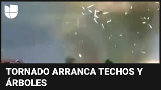 Árboles y techos arrancados: así fue el destructor paso de un tornado en Pensilvania