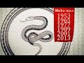 Moha җил (год Змеи) Астрологический прогноз на 2022 год