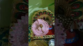 Aaj Dhnteras Ki Ratri Pr Kanha Ka Bhog