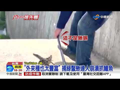 使命必達! 獵龍達人新任務... 仁德交流道抓"鱷魚"│中視新聞 20220501