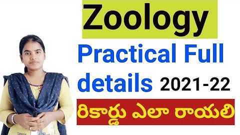 Inter Zoology practical exam full details 2022|| జంతుశాస్త్రం|| ప్రాక్టికల్ రికార్డ్ ఎలా రాయలి ||