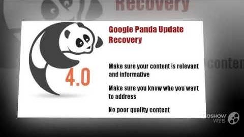 About Google Panda, Penguin and Hummingbird Algorithm