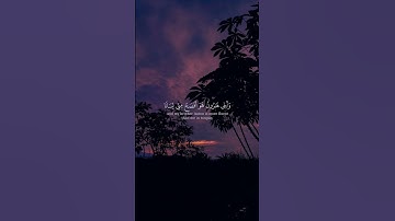 #سورة القصص #ريان المحيسني #short