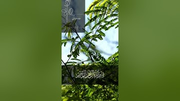 سورة القدر شاشة سوداء بدون ترجمة ｜ كرومات ليلة القدر القارئ أحمد