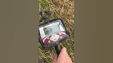 Minelab xterra 505 error