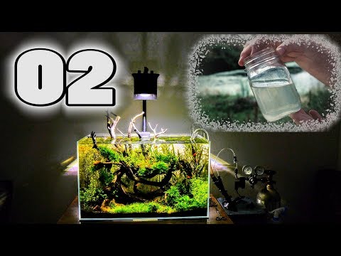 Optimizing Your Water Quality | Surface Scum & Filtration | Aquascaping