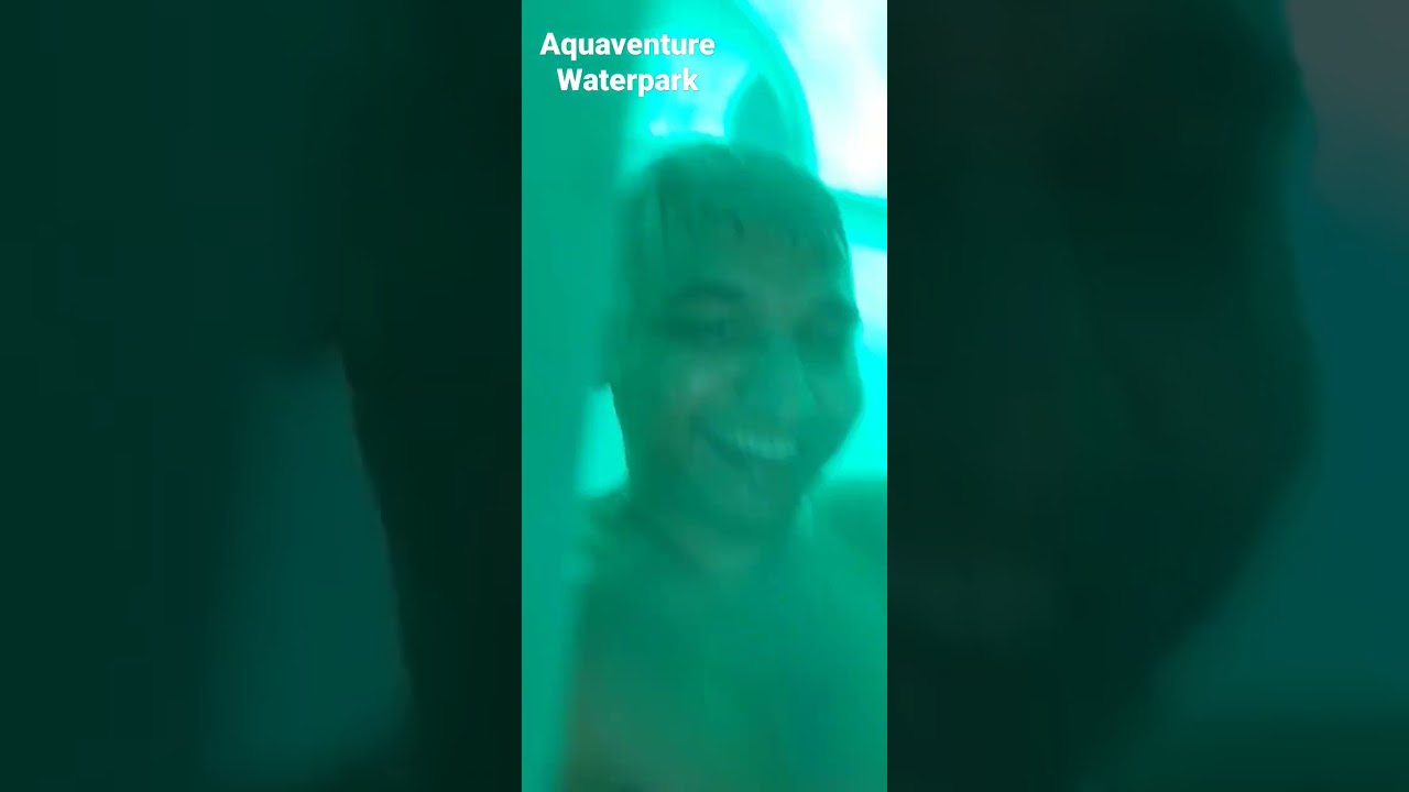 Thrill rides at Aquaventure Waterpark