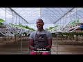 CAIPA AGRI TECH FULL MIX SUBS