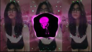 DJ STYLE REGGAE MIX SLOW BASS LATEST DJ REMIX VIRAL TIK TOK THAT YOU ARE LOOKING FOR