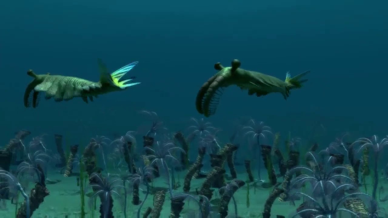 Cambrian Explosion A Real Event in History YouTube