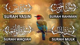 Surah Yasin, Ar Rahman, Al Waqi'ah, Al Mulk | Forgiveness of Sins & Divine Mercy | Ayub Mus'ab
