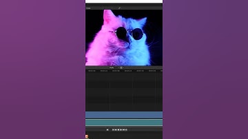 Blender Tutorial: How to Separate Audio and Video in Blender Video Editor