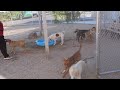 Edgar video