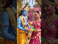 Holi shorts video Holi