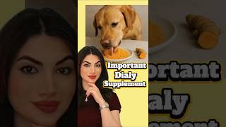 3 daily supplements every dog and cat needs