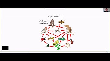 CS/STAT 287: Data Science I -- (Guest) Lecture 20: Network Science