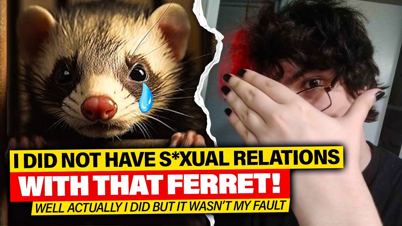 Synnibear03 Accuser ADMITS to DISGUSTING Allegations!