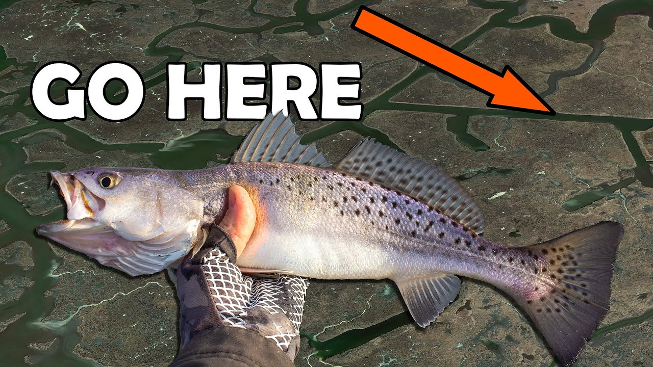 Devin's Ultimate Guide to Jigging Speckled Trout in Louisiana